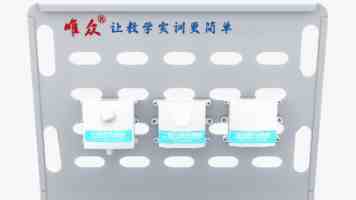 溏心蛋怎么煮才成功 - 流心蛋黄不翻车指南